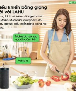 Công tắc hẹn giờ không cần wifi